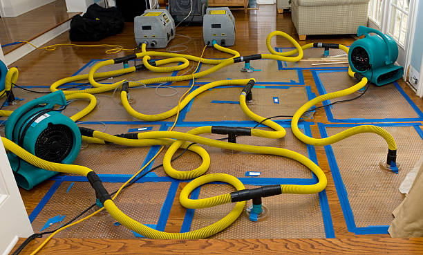 Professional Basement Flood Cleanup technician working in Rosamond, CA